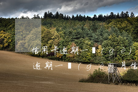 信用卡逾期一個(gè)多月了有什么影響(逾期一個(gè)月信用卡會怎么樣)