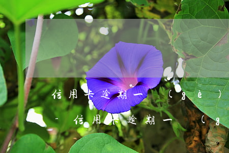 信用卡逾期一個(gè)多月了還可以用嗎-信用卡逾期一個(gè)多月了還可以用嗎
