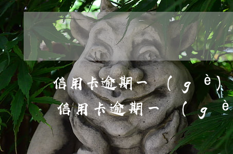 信用卡逾期一個(gè)多月了還款怎么辦(信用卡逾期一個(gè)多月了還款怎么辦理)