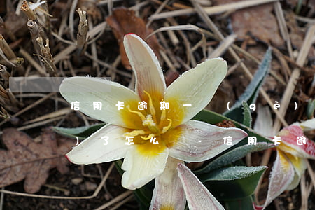 信用卡逾期一個(gè)多月凍結(jié)了怎么辦-信用卡逾期一個(gè)多月凍結(jié)了怎么辦呢