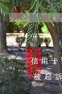 信用卡逾期一個(gè)多月會(huì)被起訴(信用卡逾期一個(gè)多月會(huì)被起訴犯罪)