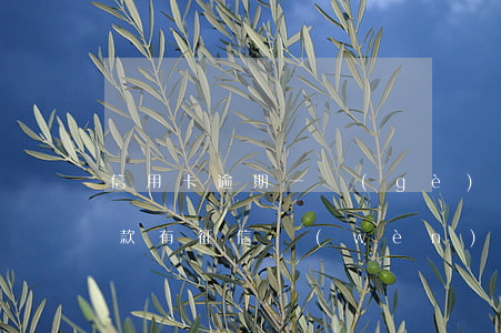 信用卡逾期一個(gè)小時(shí)還款有征信問(wèn)題嗎-信用卡逾期一個(gè)小時(shí)還款有征信問(wèn)題嗎怎么辦