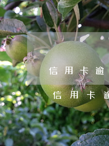信用卡逾期一個(gè)星期了怎么處理-信用卡逾期一個(gè)星期了怎么處理最好
