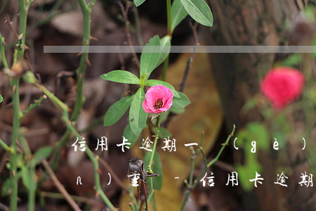 信用卡逾期一個(gè)星期后果嚴(yán)重嗎-信用卡 逾期一周