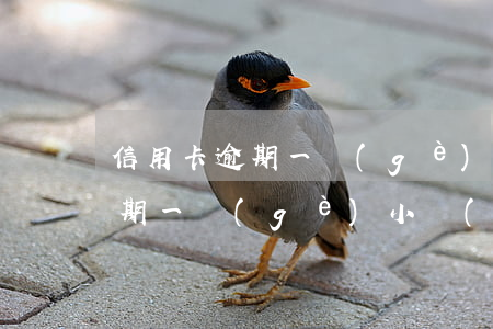 信用卡逾期一個(gè)星期怎么(信用卡逾期一個(gè)小時(shí))