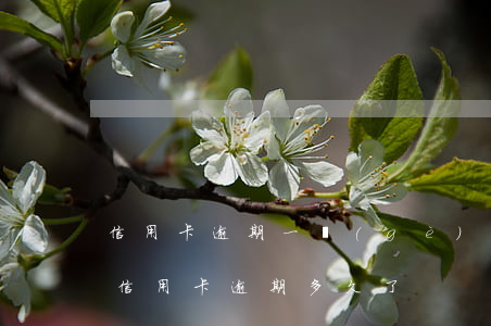 信用卡逾期一個(gè)星期才知道(你們的信用卡逾期多久了)