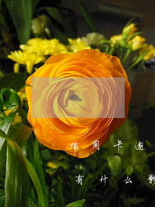 信用卡逾期一個(gè)星期會(huì)有什么影響-信用卡逾期一個(gè)星期會(huì)有什么影響嗎