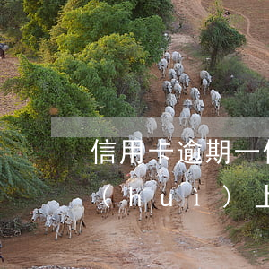 信用卡逾期一個(gè)會(huì)不會(huì)上黑名單-信用卡逾期一個(gè)會(huì)不會(huì)上黑名單的人