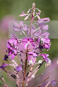 信用卡逾期一個(gè)月三千塊(信用卡三千塊錢逾期一年會(huì)怎么樣)