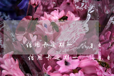 信用卡逾期一個(gè)月上征信能消除-信用卡逾期一個(gè)月上征信能消除嗎