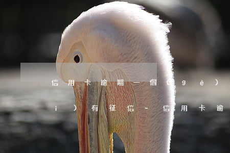 信用卡逾期一個(gè)月了怎么沒(méi)有征信-信用卡逾期一個(gè)月了怎么沒(méi)有征信記錄