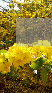 信用卡逾期一個(gè)月了有什么影響(幾百塊信用卡逾期一個(gè)月會(huì)不會(huì)影響征信)