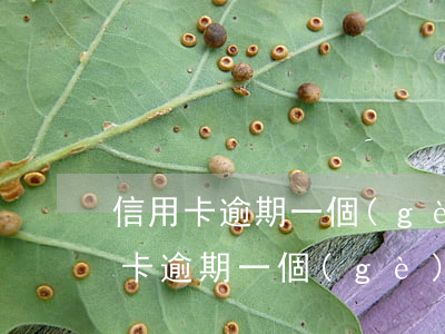 信用卡逾期一個(gè)月了有影響嗎(信用卡逾期一個(gè)月了有影響嗎貼吧)