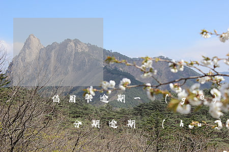 信用卡逾期一個(gè)月了還可以分期嗎(來分期逾期會(huì)怎么樣)