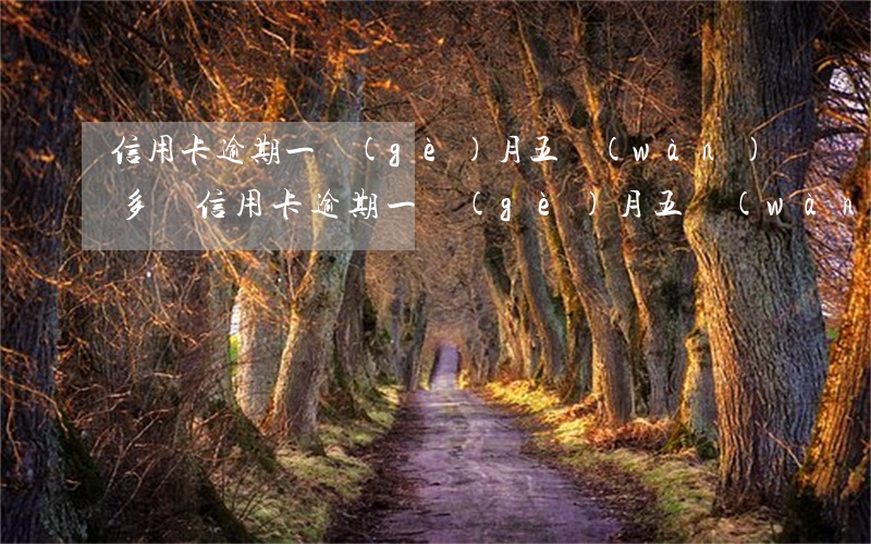 信用卡逾期一個(gè)月五萬(wàn)多塊(信用卡逾期一個(gè)月五萬(wàn)多塊)