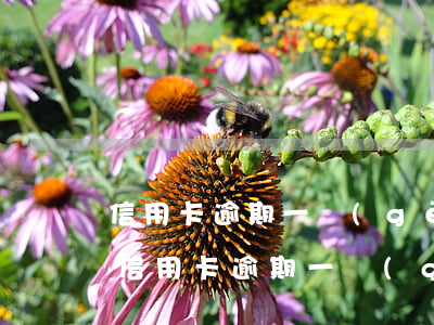 信用卡逾期一個(gè)月以后還能用嗎-信用卡逾期一個(gè)月以后還能用嗎知乎