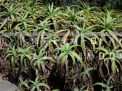 信用卡 逾期一個(gè)月(信用卡逾期一個(gè)月影響貸款嗎)