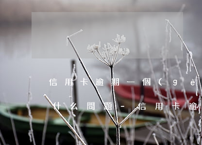 信用卡逾期一個(gè)月內(nèi)有什么問題-信用卡逾期一個(gè)月內(nèi)有什么問題嗎