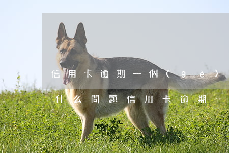 信用卡逾期一個(gè)月內(nèi)有什么問題(信用卡逾期一個(gè)月內(nèi)有什么問題沒)