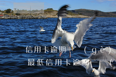 信用卡逾期一個(gè)月內(nèi)還最低(信用卡逾期一個(gè)月后還可以最低還款嗎)