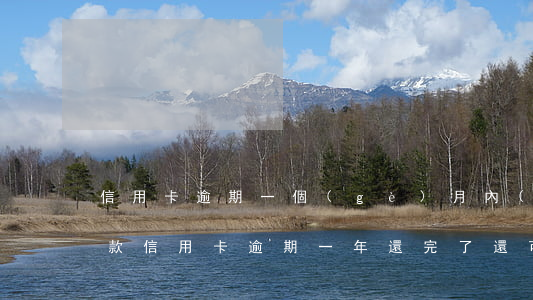 信用卡逾期一個(gè)月內(nèi)還款(信用卡逾期一年還完了還可以貸款嗎)