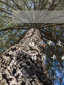 信用卡逾期一個(gè)月利息能減免嗎(欠信用卡利息可以減免嗎)