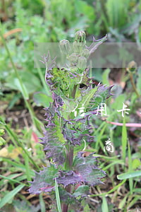 信用卡逾期一個(gè)月可以協(xié)商嗎(各銀行信用卡逾期協(xié)商政策)