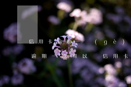 信用卡逾期一個(gè)月可以貸款么 房貸逾期一次可以辦信用卡嗎