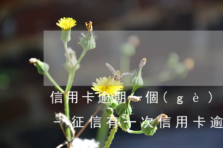 信用卡逾期一個(gè)月后會影響征信嗎-征信有一次信用卡逾期有什么影響