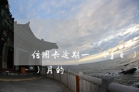 信用卡逾期一個(gè)月后還幾個(gè)月的