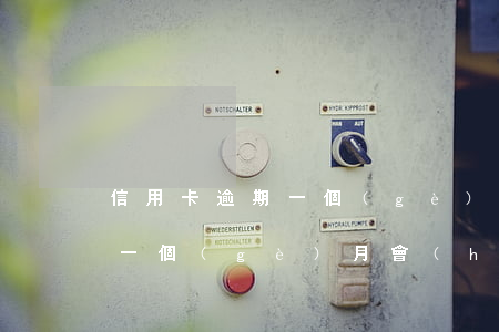 信用卡逾期一個(gè)月咋辦(信用卡逾期一個(gè)月會(huì)怎么樣)