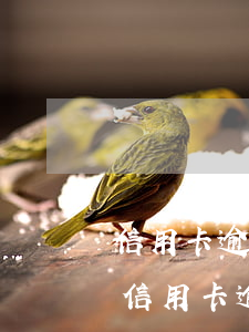 信用卡逾期一個(gè)月多久消失(你們的信用卡逾期多久了)