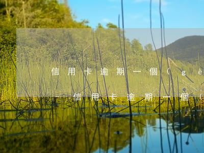 信用卡逾期一個(gè)月大概有多少利息-信用卡逾期一個(gè)月大概有多少利息啊