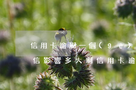 信用卡逾期一個(gè)月對(duì)征信影響多大啊（信用卡逾期一個(gè)月對(duì)征信影響多大）