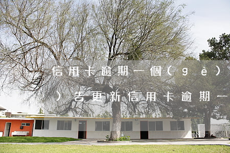 信用卡逾期一個(gè)月征信報(bào)告更新（信用卡逾期一個(gè)月征信報(bào)告更新）