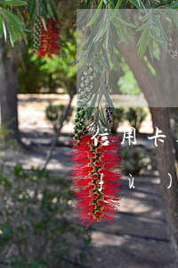 信用卡逾期一個(gè)月征信多久恢復(fù)(征信上信用卡逾期一個(gè)月 什么時(shí)候能消除)