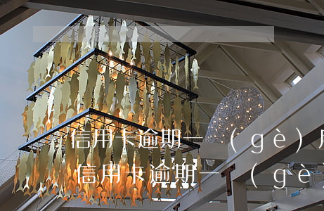 信用卡逾期一個(gè)月怎么消除征信-信用卡逾期一個(gè)月怎么消除征信記錄