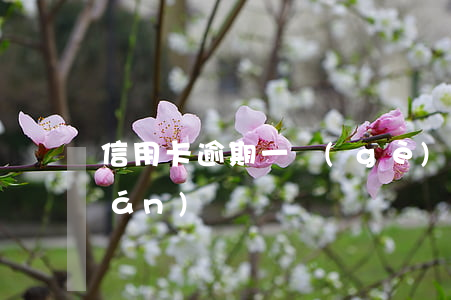 信用卡逾期一個(gè)月扣多少錢(qián)