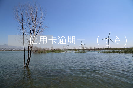 信用卡逾期一個(gè)月收到催告函