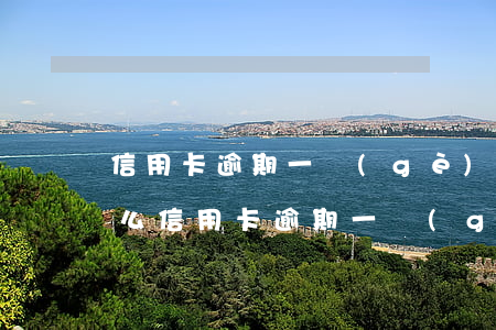信用卡逾期一個(gè)月會(huì)怎么(信用卡逾期一個(gè)月會(huì)怎么處理)
