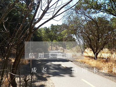 信用卡逾期一個(gè)月會(huì)變成老賴嗎(信用卡逾期多久變老賴)