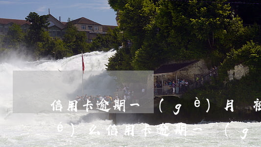 信用卡逾期一個(gè)月會被凍結(jié)么(信用卡 逾期 一個(gè)月)