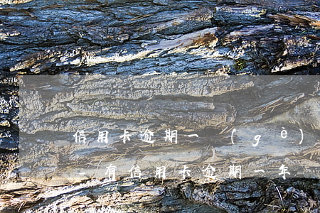 信用卡逾期一個(gè)月沒(méi)事-有信用卡逾期一年沒(méi)事的嗎