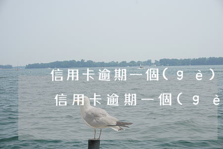 信用卡逾期一個(gè)月能辦理成功嗎-信用卡逾期一個(gè)月能辦理成功嗎知乎