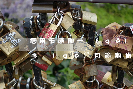 信用卡逾期一個(gè)月被列入黑名單嗎(3個(gè)月逾期肯定進(jìn)黑名單嗎)