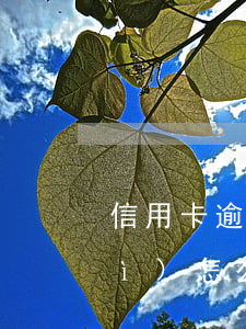 信用卡逾期一個(gè)月還一次會(huì)怎么樣-信用卡逾期一個(gè)月還一次會(huì)怎么樣嗎
