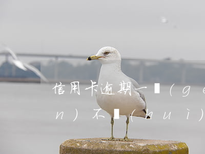 信用卡逾期一個(gè)月還一點(diǎn)不會(huì)起訴(欠信用卡一個(gè)月還一點(diǎn)會(huì)不會(huì)起訴)