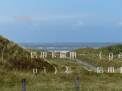 信用卡逾期一個(gè)月還上征信會(huì)怎樣-信用卡逾期一個(gè)月還上征信會(huì)怎樣顯示