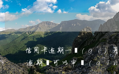 信用卡逾期一個(gè)月還可以貸款(貸款逾期還可以申請(qǐng)信用卡嗎)