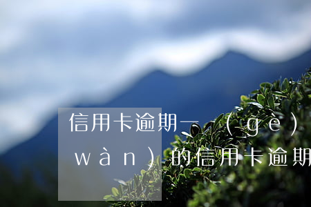 信用卡逾期一個(gè)月還多少次(兩萬(wàn)的信用卡逾期好幾個(gè)月一直沒還嚴(yán)重嗎)
